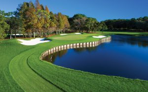 Innisbrook Golf Pic