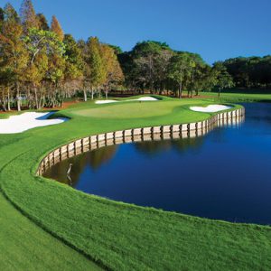 Innisbrook Golf Pic